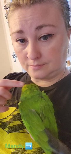 #Nanday #Conure #Rescue