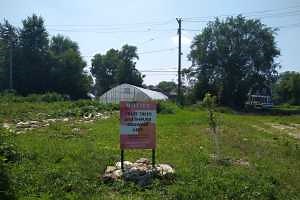 360-degree field tours highlight three Detroit urban farms