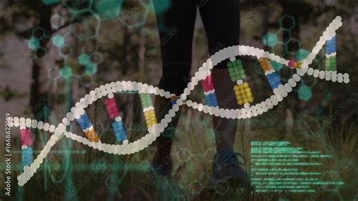 Woman walking through glade while genomic helix reacting to motion and animating code for biotech