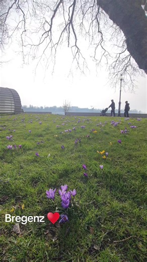 Exploring Bregenz and Vorarlberg: Hidden Gems