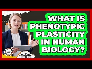 What Is Phenotypic Plasticity In Human Biology?