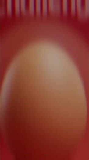 Egg shell 🐚 #egg #shortsfeed #memes #shorts