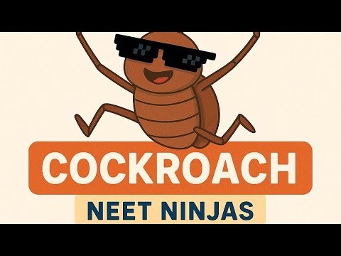 ANATOMY OF COCKROACH |Structural organisation in animals| bio ncert| neet UG 2026