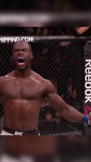 Impressive Jump Side Kick in MMA