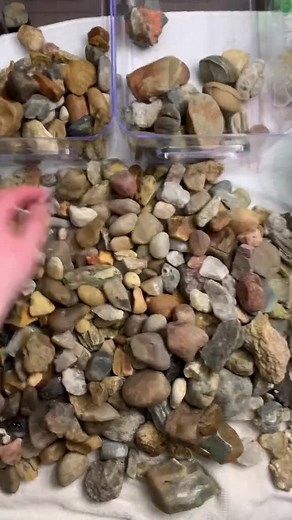 Moonrise Rocks on Instagram: "25 minutes of rock sorting in 15 seconds 😌 #rocktumbling #rocktumbler #rocks #geology #crystals #moonriserocks #hobby #rocktumblingreveal #rocktumblingforbeginners"