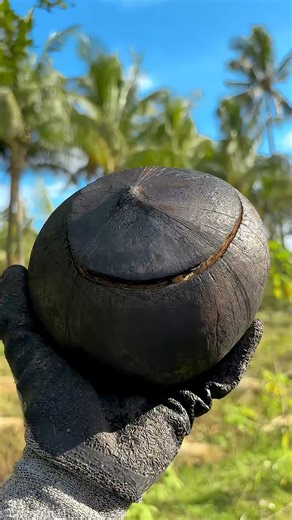 Health Benefits of Roasted Coconut