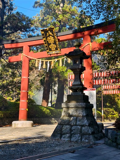 Exploring Sendai: A Cozy Solo Travel Adventure