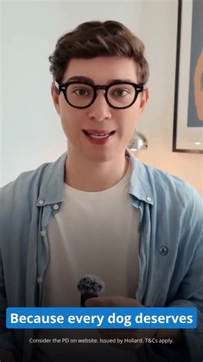 DOG OWNERS, THIS ONE'S FOR YOU! Simple, flexible cover made for Kiwi pet parents. With SPCA Pet Insurance you can choose from 3 levels of pet insurance for your dog and protect them from the unexpected. Get SPCA Pet Insurance! | SPCA Pet Insurance | Facebook