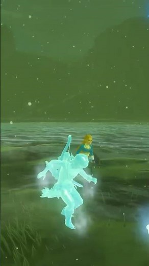 Princess Zelda Companion Mod | Breath of the Wild