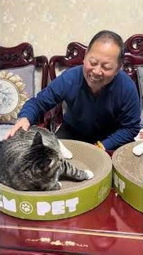 Master Your PAWS Skills with This Enigmatic Scratchpad