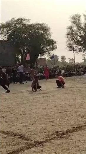 😆#hot,wheels,acceleracers,theme#😆