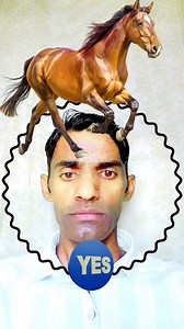 97K views · 978 reactions | Horse  running challenge #horses #challenge #stopchallenge #reelschallenge #puzzle #game | vlog star | Facebook