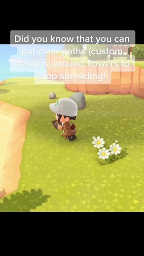 How to Stop Flowers from Spreading in Animal Crossing