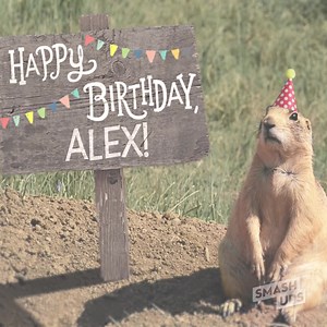 Pop in with birthday wishes! This adorable pack of prairie dogs will personalize a song for anyone. 🥳🎶 | American Greetings
