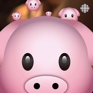 105K views · 18 reactions | You might know it as the "other white...