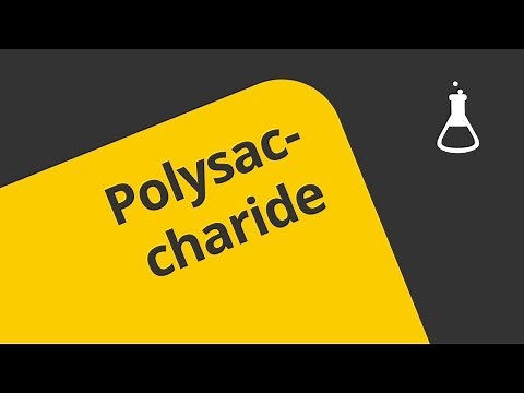 Die Polysaccharide - Definition | Chemie | Organische Chemie