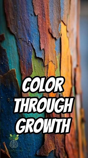 This Tree Changes Color as It Grows 🌈🌳