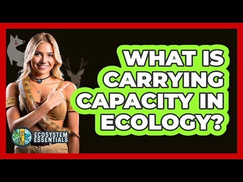 What Is Carrying Capacity in Ecology?