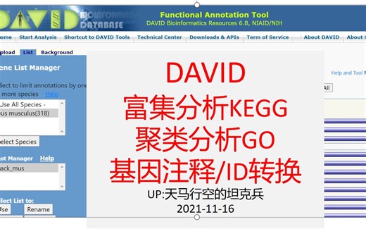 【技能44】用DAVID 聚类分析（GO）和富集分析（KEGG）&ID转换、基因注释_20211116