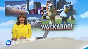 The blue heeler family conquering the world of kid's TV is about to become even bigger as construction is about to start on 'Bluey's World' in Brisbane. | 10 News Queensland
