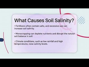 What Causes Soil Salinity? - The World of Agriculture