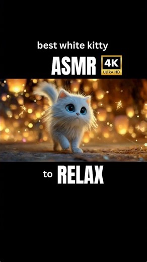 The Most Adorable Animation You'll See Today#pixarstyle #cutekitty #4k #shorts