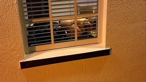 Spy With A Drone On My Neighbor Watching Porn With A Fucking Machine XXX Video
