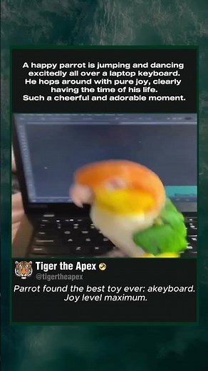 Happy Parrot Jumping on Laptop Keyboard #parrot #cuteanimals