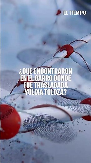 DNA and evidence found in the car used to transport Yulixa Toloza: Prosecutor files charges | EL ...