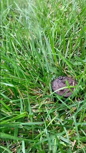 Winterize Your Sprinkler System