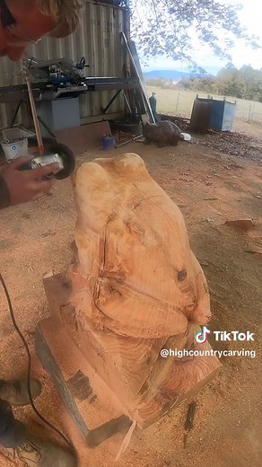 Mastering Chainsaw Carving: Create Stunning Frogs