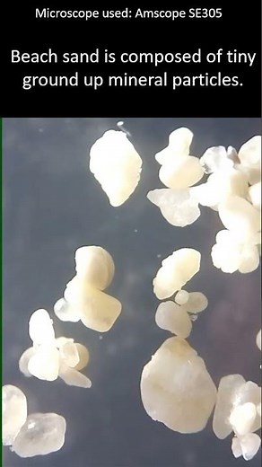 Beach sand under a stereo microscope. #microscopy