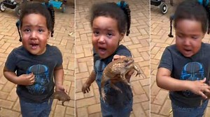 "Children no dey fear": Little girl brings live frog to mum in viral video