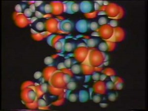 DNA with Ethidium (1978)