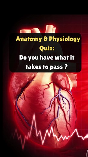 Cardiac Anatomy and Physiology Quiz #studentnurse #anatomy #physiology #quiz #medical