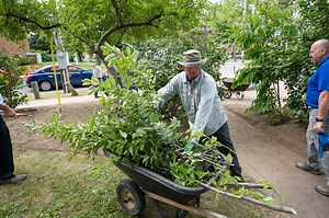 GreenCare for Communities | Project Evergreen