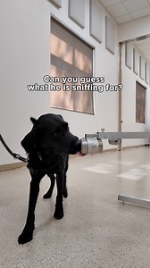 31K views · 436 reactions |  Living with Type 1 diabetes near...