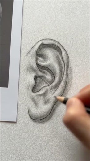 How to Draw an Ear Outline ✏️ Easy Pencil Sketch #shorts #viral #youtubeshorts #art #shortsfeed