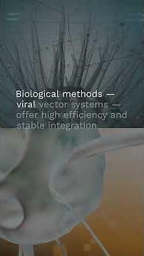 Why does one transfection succeed while another fails using the same plasmid?
