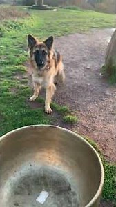 Tibetan bowl at the top of Clent Hill at sunset