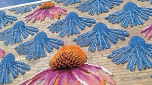 Patterned by Nature at the Chicago Botanic Garden