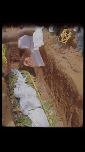 Babiya🐊: The Divine Legend of India's Only "Vegetarian" Crocodile