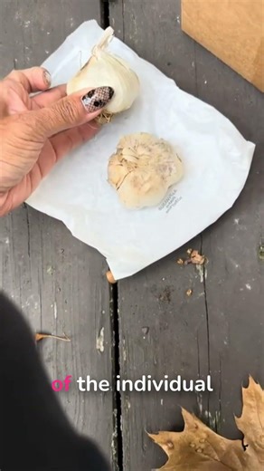 Garlic Planting Depth: How Deep to Plant?