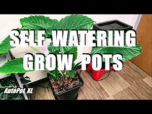 SELF WATERING GROW POTS AUTOPOT XL