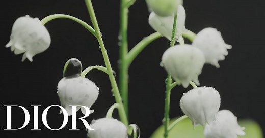 Dior Diorissimo 2024 ~ New Fragrances ~ Fragrantica