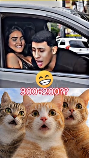 😳🔥😂300 + 200 = 500? 😂 Funny Math Meme Reaction #cat #funnyvideo