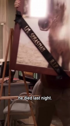 Remembering Little Sebastian: 12 Years On