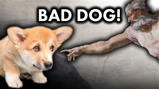 Why the Bible speaks harshly about dogs