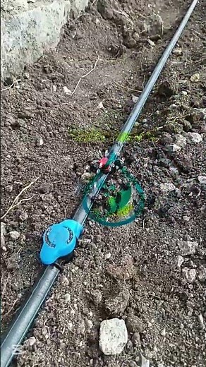 How to Install Adjustable Button Drippers | Kevotech Irrigation Tutorial