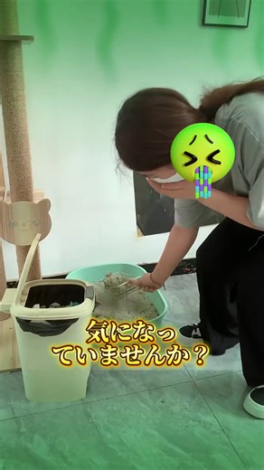 猫のトイレ掃除が面倒な人におすすめ｜尿をすばやく吸収してしっかり固まる猫砂 #猫砂 #猫トイレ問題 #猫砂おすすめ #消臭 #吸水力